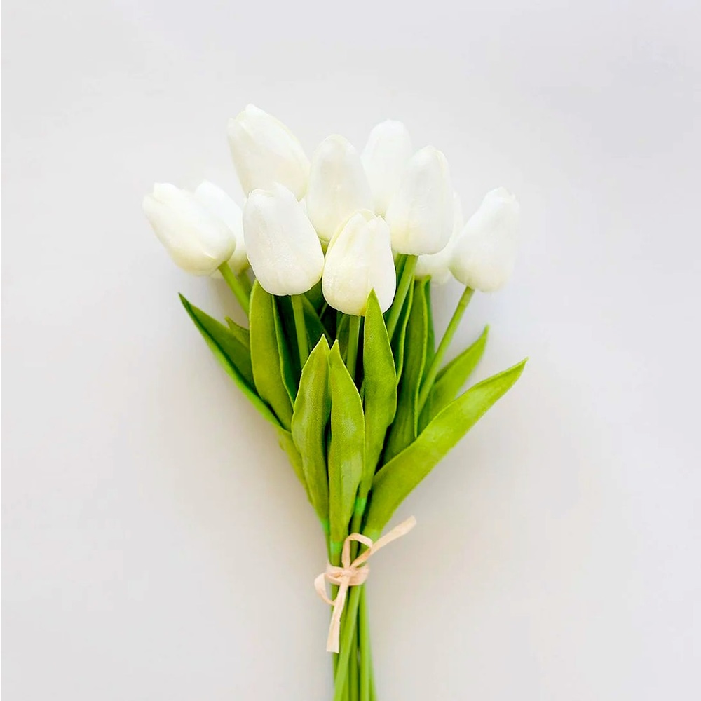 Meet your Posher, Ellen